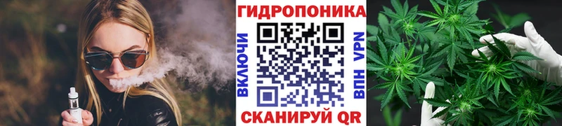 Купить закладки  Юрьевец  Шишки марихуана сатива 